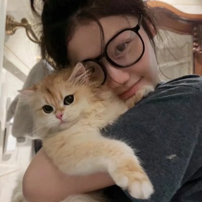 熊猫的大冒险